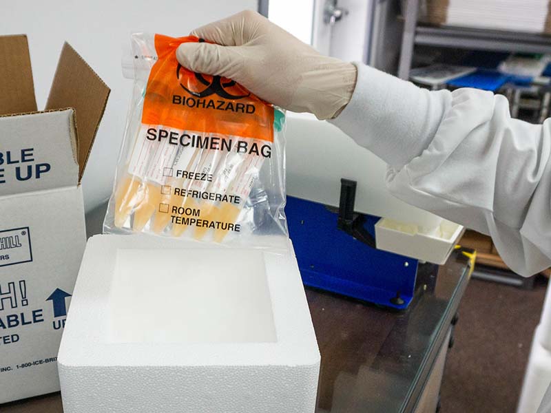 lab worker packs clinical specimen in cold storage container
